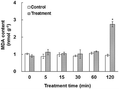 Bicarbonate Induced Redox Proteome Changes in Arabidopsis Suspension Cells